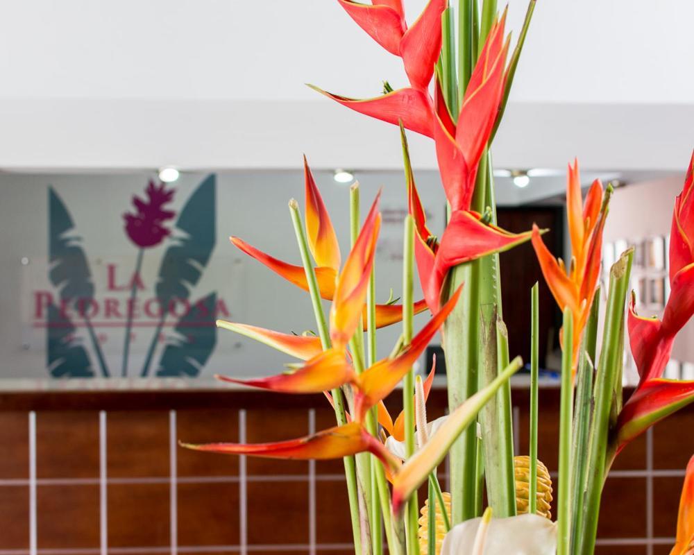 Hotel La Pedregosa Mérida Zewnętrze zdjęcie